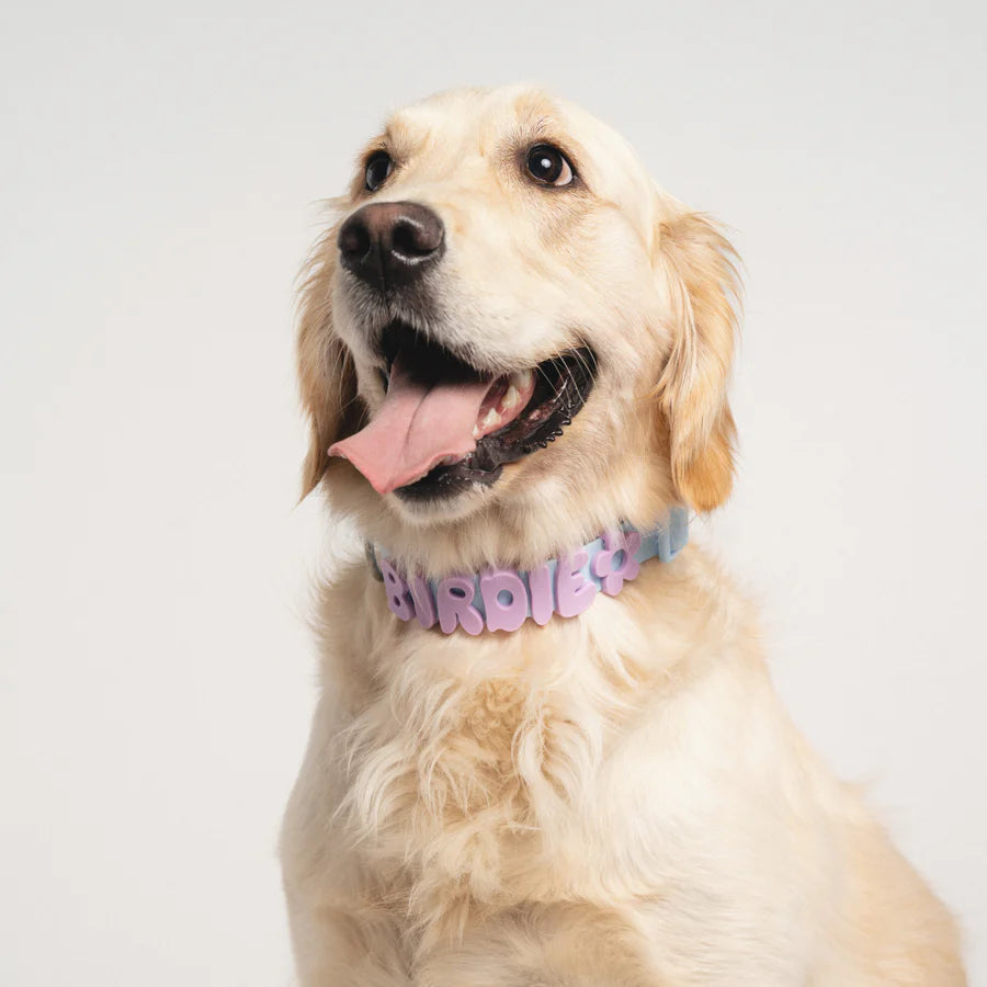 Personalized Waterproof Dog Collar with Charms