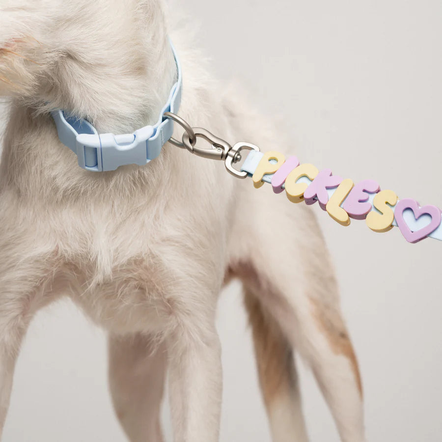 Waterproof Dog Leash