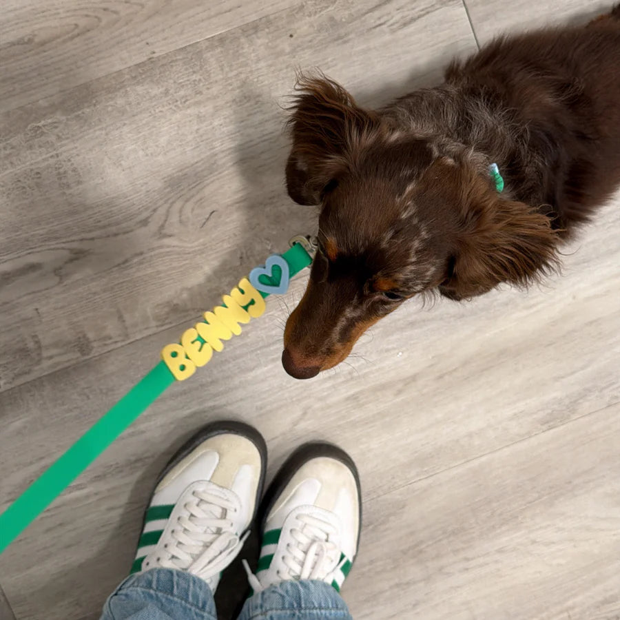 Waterproof Dog Leash