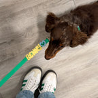 Waterproof Dog Leash