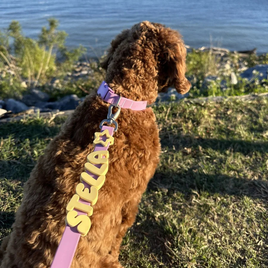 Waterproof Dog Leash