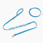 Waterproof Dog Leash