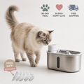 Woofpur Flow — Pet Water Fountain