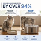 Woofpur Flow — Pet Water Fountain