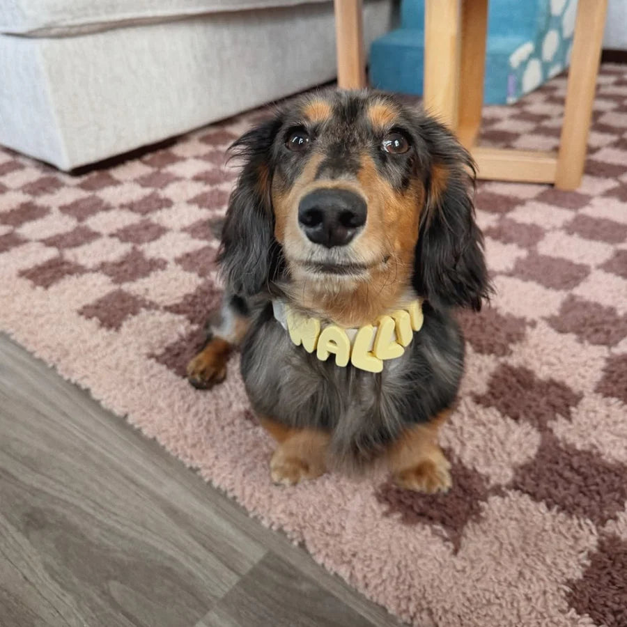 Personalized Waterproof Dog Collar with Charms