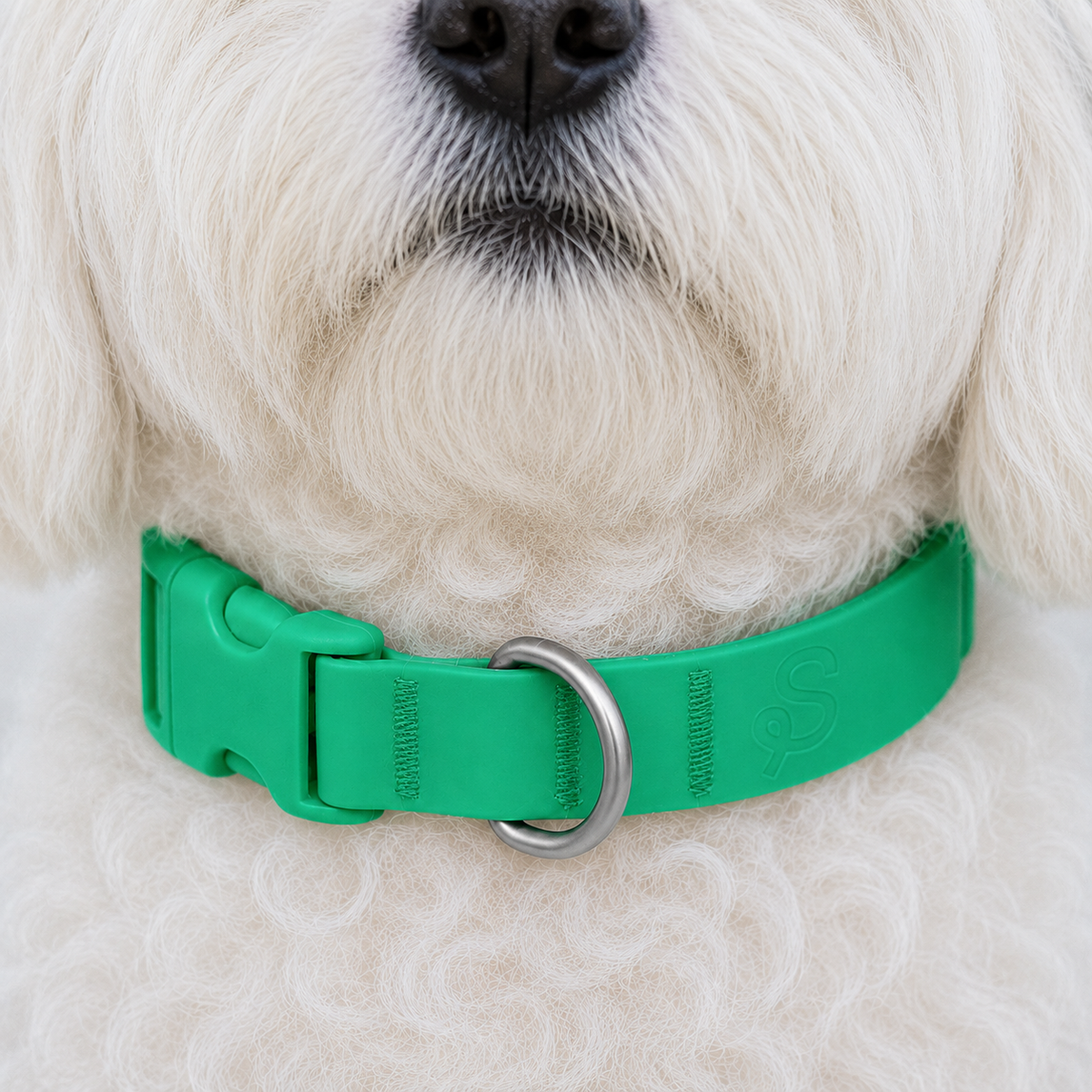 Woofpur™ Personalized Collar