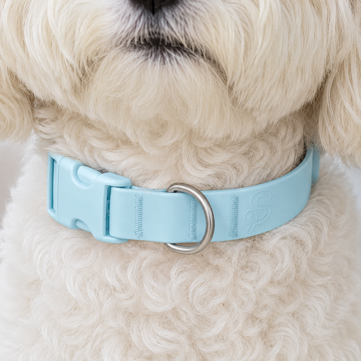Woofpur™ Personalized Collar