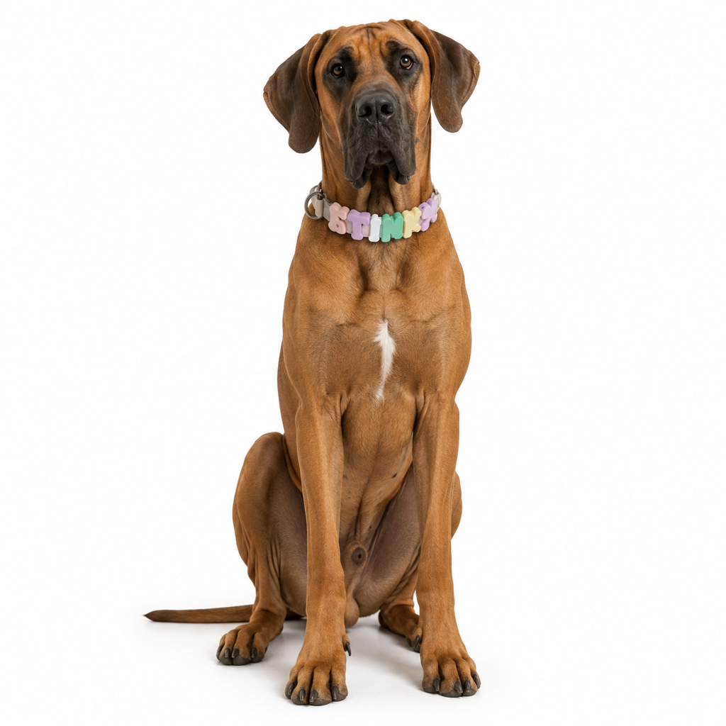 Woofpur™ Personalized Collar