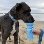Personalized Waterproof Dog Collar with Charms