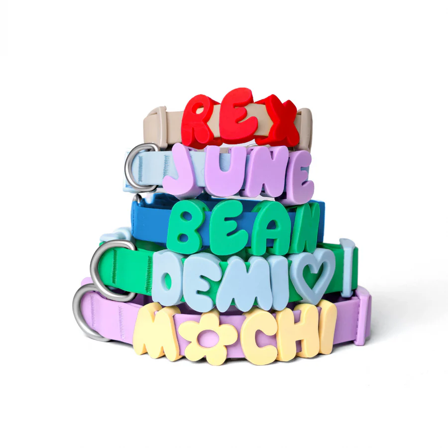 Personalized Waterproof Dog Collar with Charms