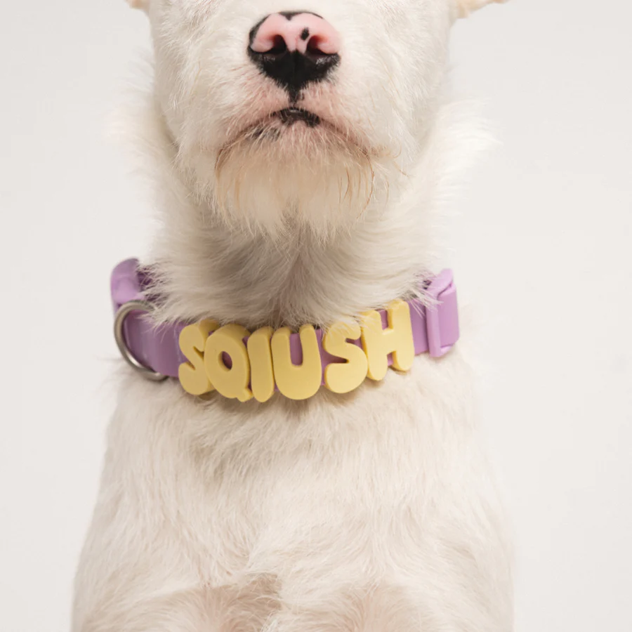 Personalized Waterproof Dog Collar with Charms
