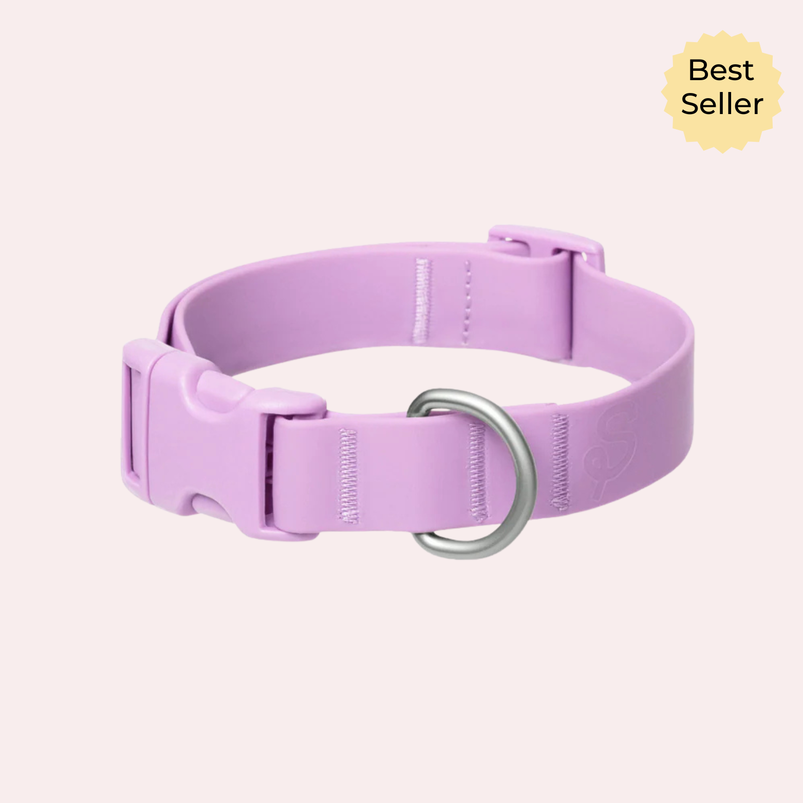 Personalized Waterproof Dog Collar with Charms