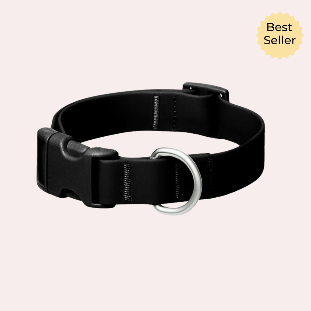 Personalized Waterproof Dog Collar with Charms