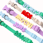 Personalized Waterproof Dog Collar with Charms